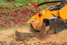 Jacksonville, AL Tree Care Company